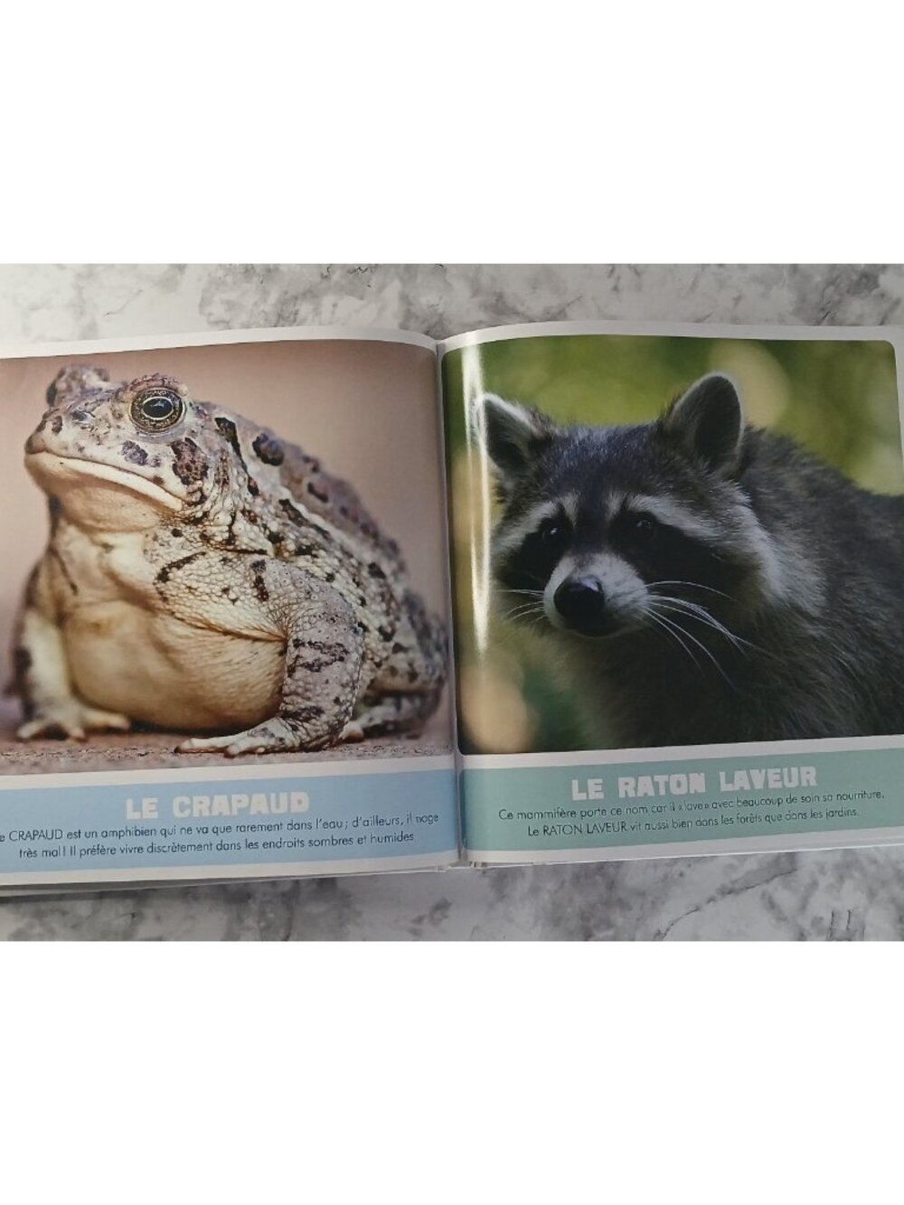 Mon Premier Animalier du Monde Auzou Livre Enfant Animaux Couverture Rigide - Picture 3 of 9